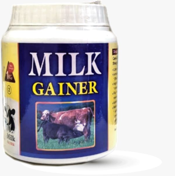 Cow Milk Gainer